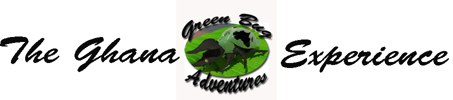 Green Bug Adventures